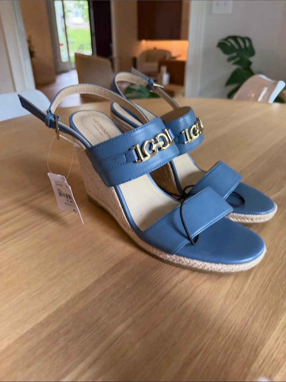 Liz Claiborne LC Amaro Espadrille Wedge Sandals Blue Size 11 M NWT